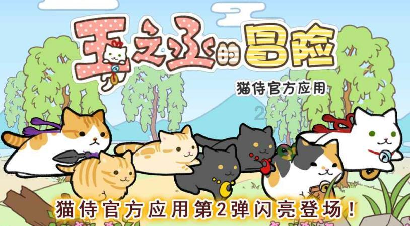 网络公司逃脱