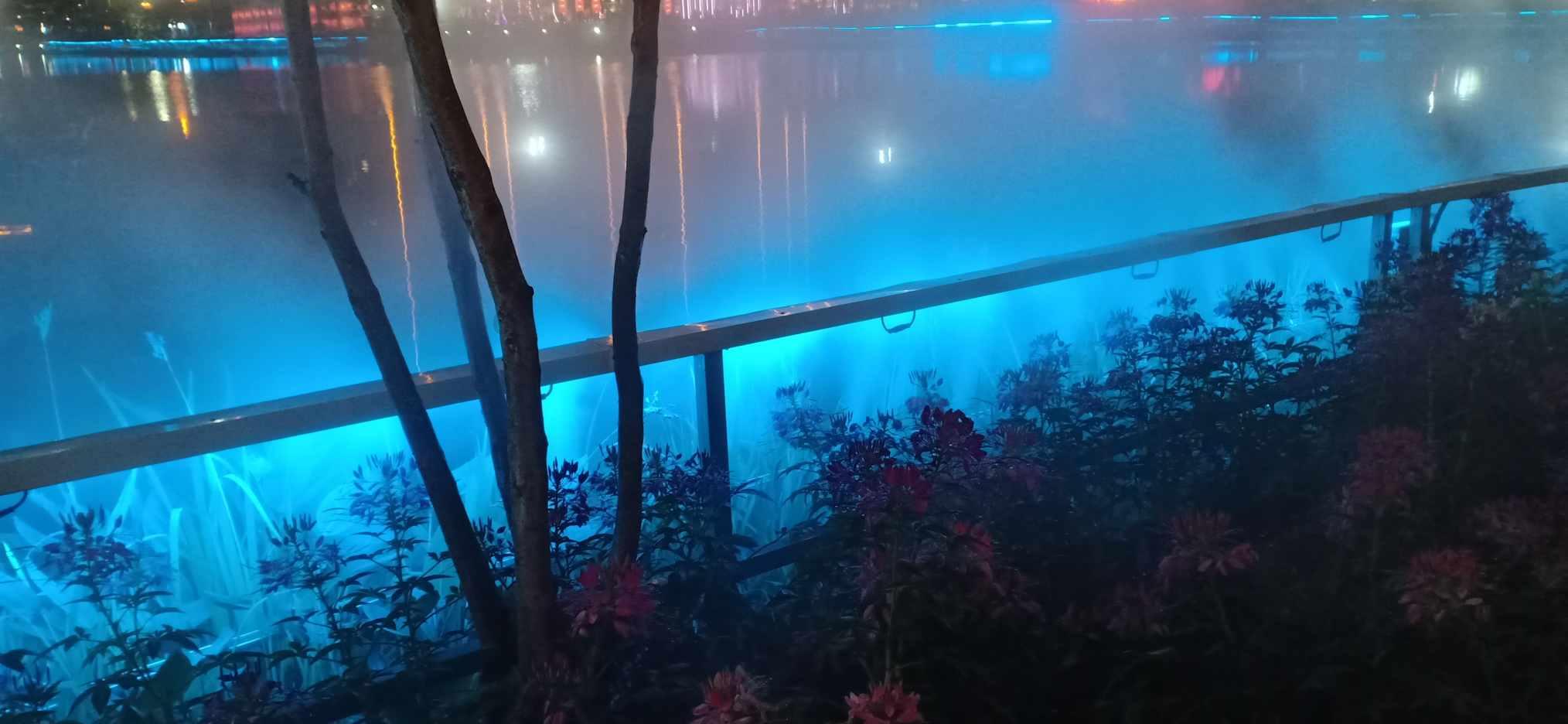 拯救红松鼠